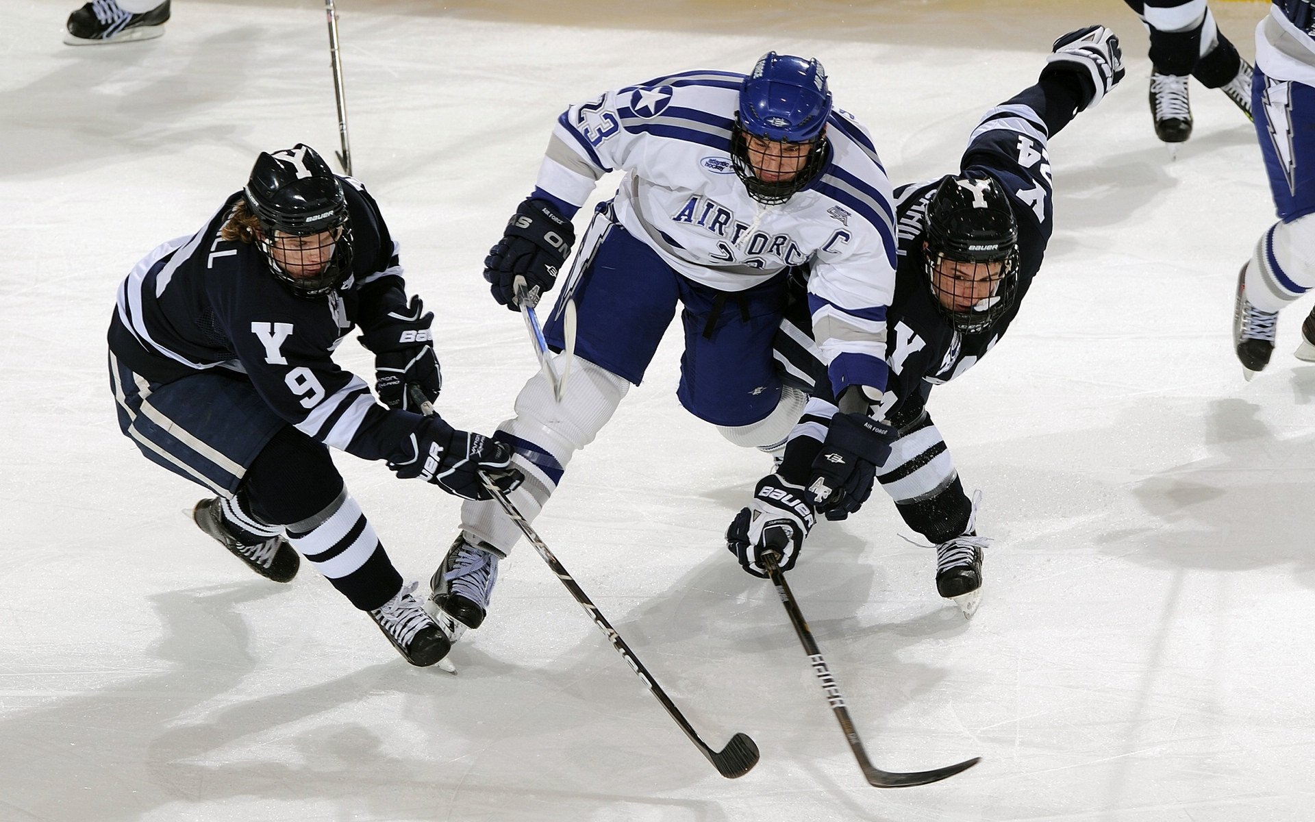 沙尔克零封对手后防组合表现稳定，沙尔克04ds