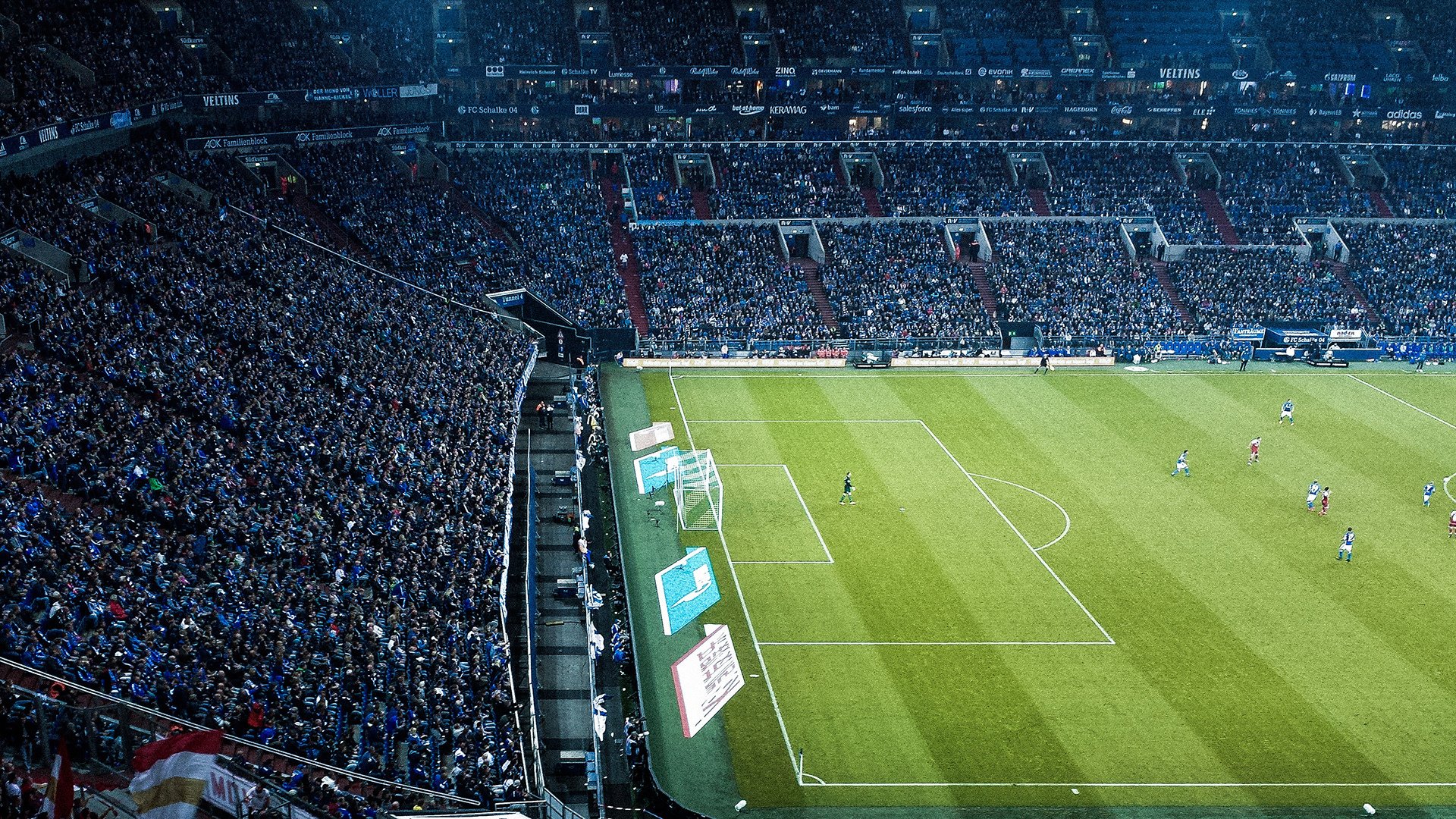 狼队管理层震荡：多梅尼科-泰蒂离职背后的深意与未来展望，多梅尼科·特德斯科